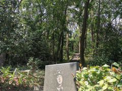 -广州市帽峰山景区