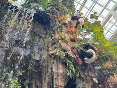 -正佳雨林生态植物园