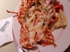 -碧特博格·20年品牌西餐厅(芜湖路店)