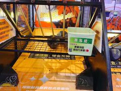-反斗乐园π·电玩·高空拓展·蹦床(龙华天虹店)