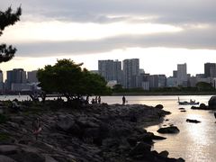 -台场海滨公园船码头