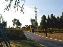 -羊亭河湿地公园