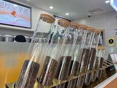 -雾与山茶(大禹城店)