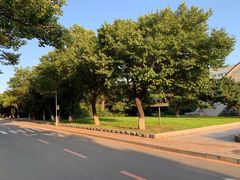 -吉林大学(南岭校区)