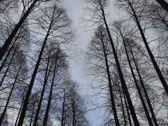 -上海怡沁园度假酒店