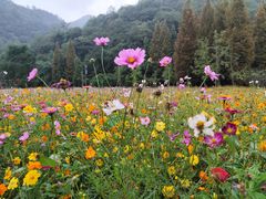 -贵阳市花溪国家城市湿地公园