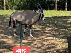 -大连森林动物园