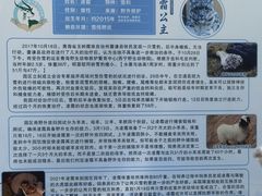 -青藏高原野生动物园