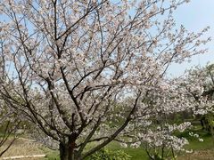 -南通洲际绿博园