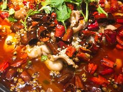 -老板恋上鱼(恒隆广场店)