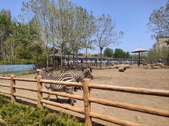 -大连森林动物园