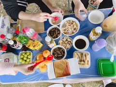 -上海海湾国家森林公园