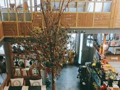-Cafe Alice咖啡爱丽丝(奥城店)