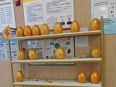 -合肥美奥口腔·种植矫正中心(政务院)