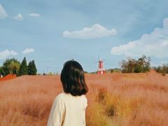 -羊亭河湿地公园