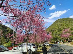 -昆明青龙峡风景区