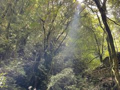 -孤山岛