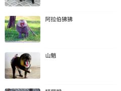 -哈尔滨北方森林动物园