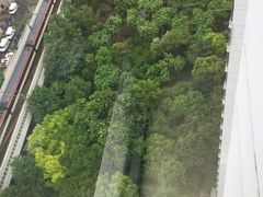 -新湖明珠城
