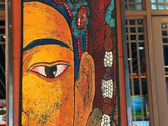 -九寨特色牦牛肉汤锅 羊肉汤锅