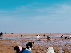 -巧克力渔家.小船海鲜家常菜(万平口店)