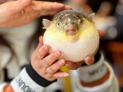 -永安鱼庄·镇江菜(东吴路店)