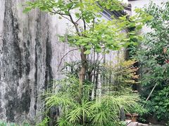 -章太炎故居
