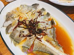 -1937青岛老味道·海肠捞饭·青岛菜(大鲍岛栈桥店)