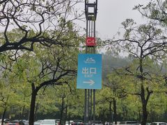 -顺峰山公园