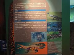 -上海海洋水族馆