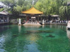 -老板恋上鱼(恒隆广场店)