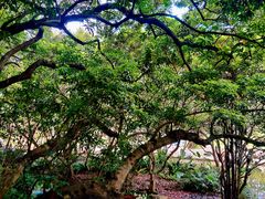 -人民公园(罗湖区)