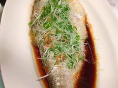 鲥鱼-广玉兰上海菜(德平店)