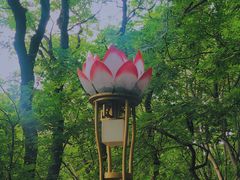 -青檀寺景区