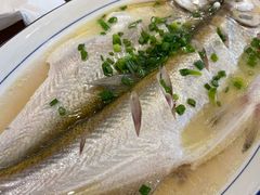 清蒸鲜白鱼-锡和无锡菜(景丽苑店)