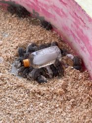 -萌宠亲子动物乐园(槐房万达店)