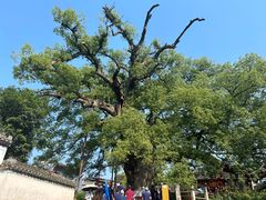 -新安江山水画廊风景区