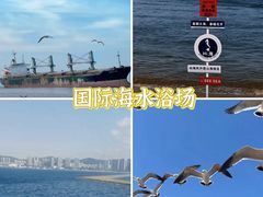 -幸福门
