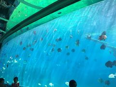 -瑞德姆美人鱼海底演艺主题餐厅(亚龙湾店)
