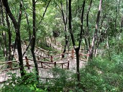 -大岭沟猕猴桃谷风景区