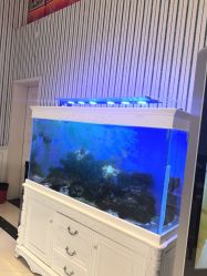 点击看大图 -爱儿美儿童摄影(五路居花园别墅店)