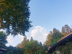-杭州西湖柳莺里酒店