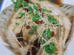 清蒸多宝鱼-1910老鲁味海鲜·戳子肉·青岛菜(金沙滩店)