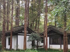 -杭州植物园