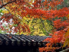 -虞山风景区