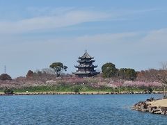 -上海海湾国家森林公园