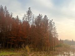 -云龙湖旅游景区