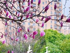 -三林塘老街