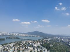 -紫峰大厦