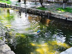 -春风习习